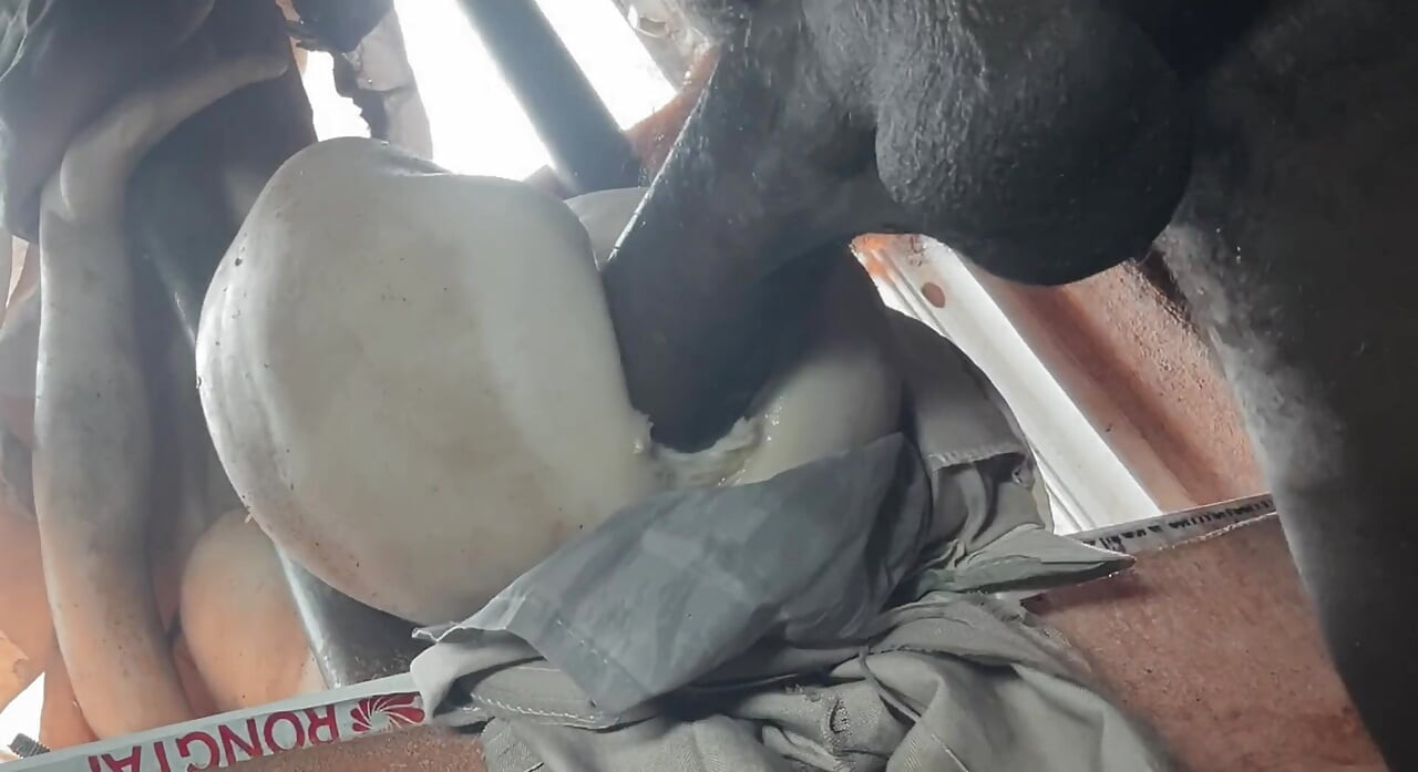 Deep Big Ass & big Dick for all ass