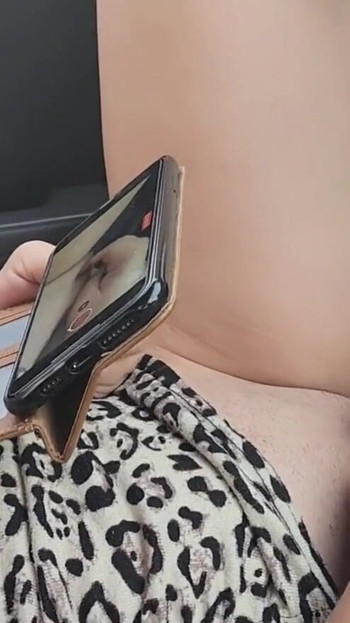 Pregled videozapisa