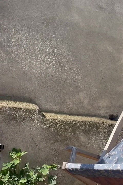 园丁激起了我, 我在院子里的秋千上把自己交给了他.