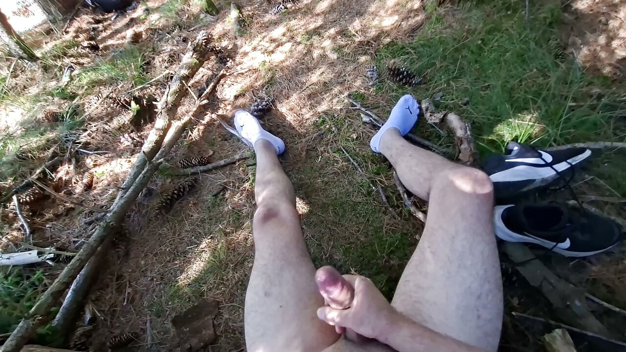 Alone in the forest, far away from everyday life