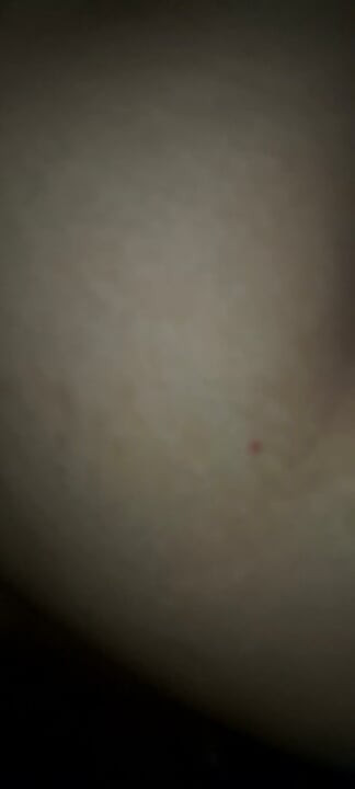 Desi Indian assamese bhabi dogy style sex with boyfriend dick love