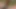 Slow-mo cum