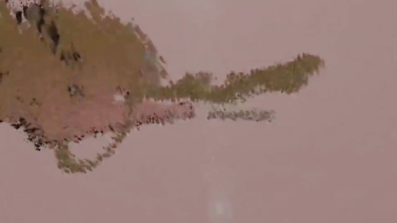 Bàn chân của tôi cho bạn