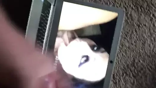 Sashasweets haraç