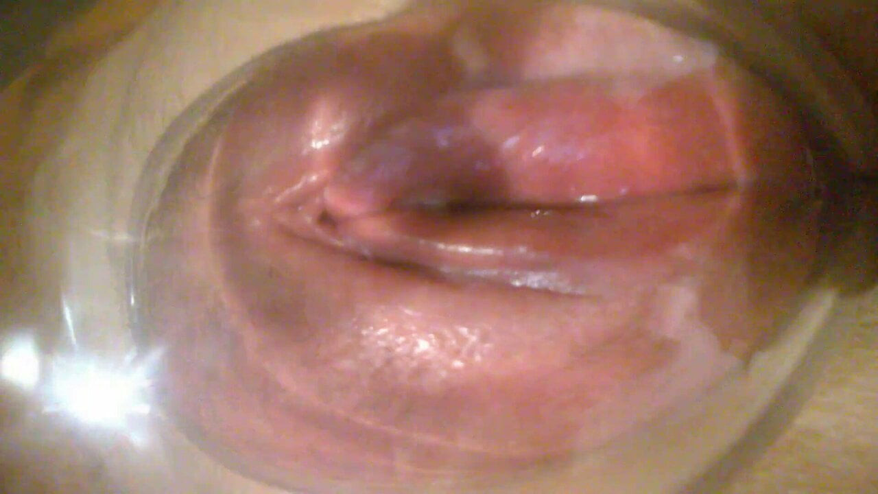 Fotze rot