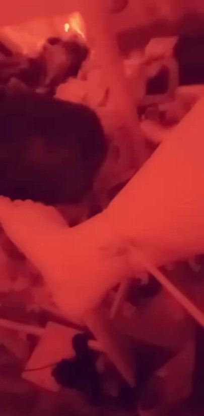 Pretty pussy babe tied up pt 2