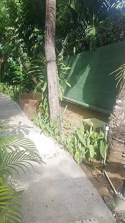 A lil slice of Paradise - Caribbean joy and delights