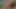 Edging Blowjob Cumshots #1