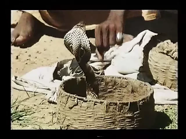 Das grosse Blaskonzert (1979)