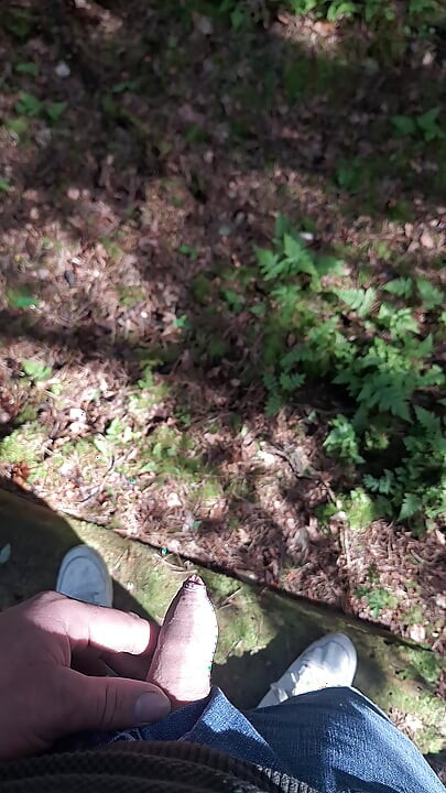 Boy peeing in a public wood