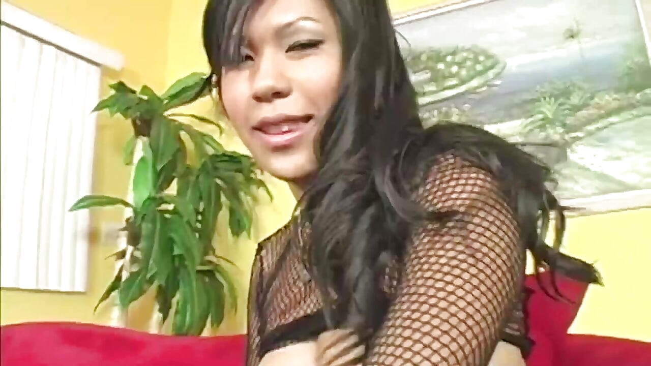 Arrastão oriental asiática é fodida por grande pau preto