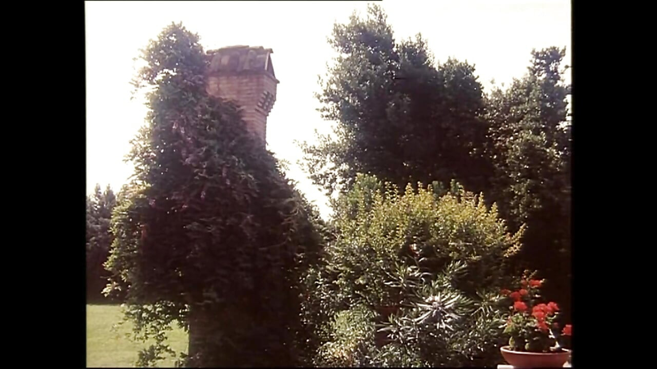 चुदाई निरीक्षण क्लिनिक - पूरी फिल्म