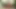 Memek mungil cewek mungil ini dihabisin sama kontol besar pria berotot