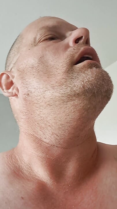 The Bitch's Ass