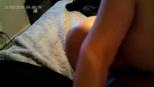 Шиповник