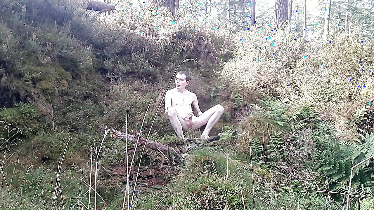 Outdoor Jerk off