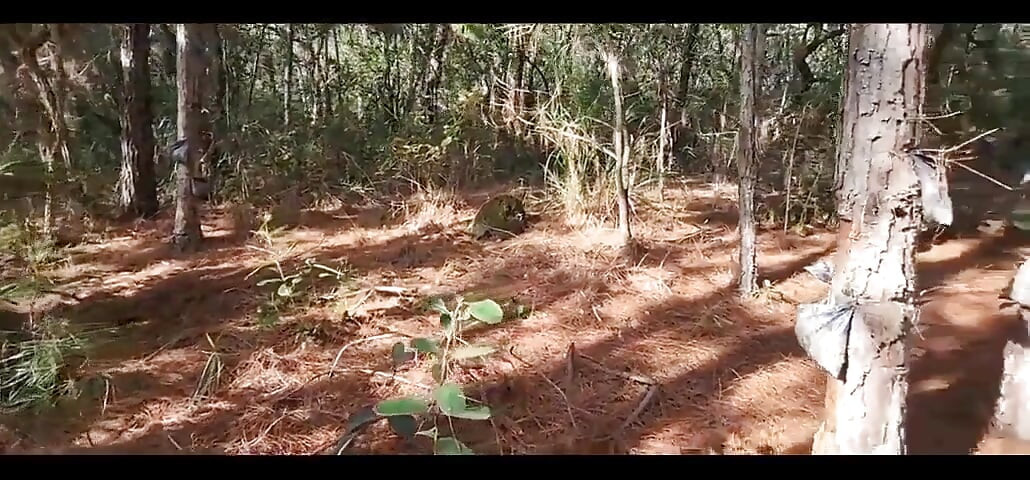 Ze dacht dat ze een bad zou gaan nemen in een waterval! Ik nam haar mee naar een melkbad in het bos!