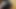 Your Phone’s Amazing Close-Up Compilation of Cute Animals
