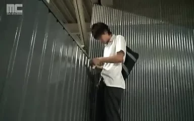 Sexe japonais en plein air