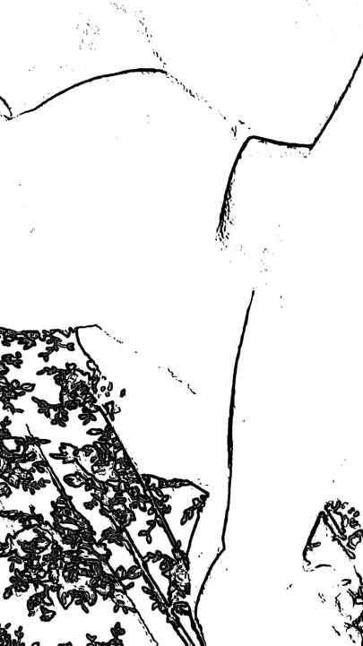 Lokal hjemmelaget sex