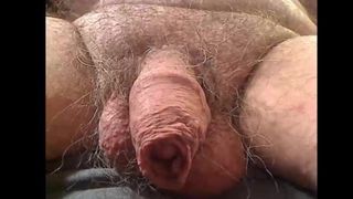 Grandpa's soft uncut cock