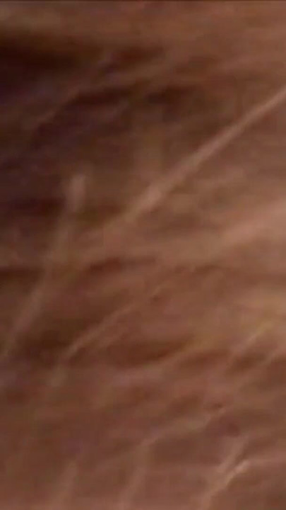 There's nothing more delicious than having a hard cock in my mouth and making him cum | Clip 1