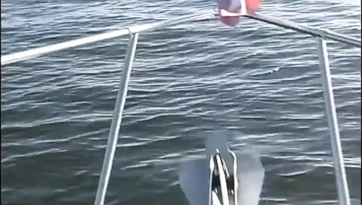 Трахнули в задницу на лодке азиатку и блондинку-красотку, винтажные