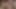 Sri lankan sexy couple fuck, big ass nice pussy ,kissing