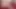 Memek sempit bella dan bea si tante seksi amatir yang putus asa dientot habis-habisan sama kontol besar pria kulit putih