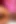 Pink Juicy Pussy Loves Big Dick to Dick Out Her Pussy