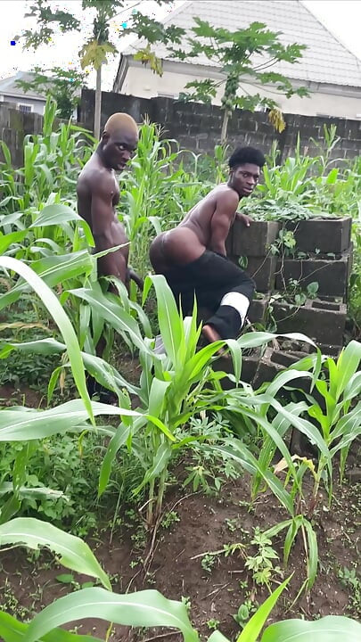 He Was in the Farm to Fuck Me so Good