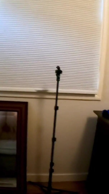 Pregled videozapisa