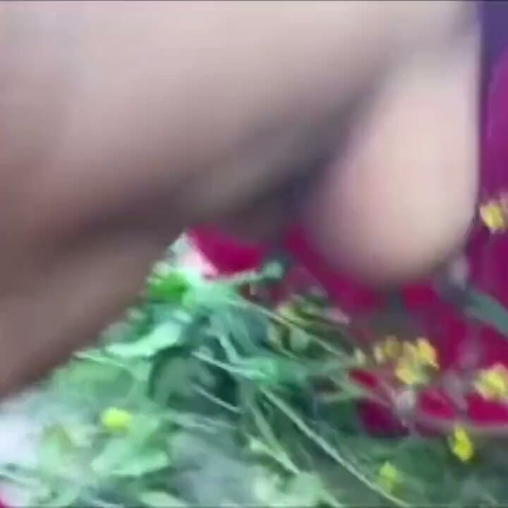 Dorf Bhabhi Wird Vom Feldbesitzer Im Senfgebiet Im Doggystyle Gefickt