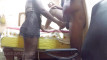 Pregled videozapisa