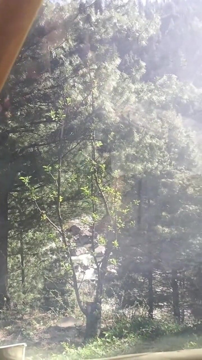 Desi outdoor blowjob compilation miss mahi 2007 18 year old teen girl | Clip 2