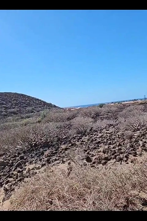Bem no meio do nada, sentimos como ter uma boa foda