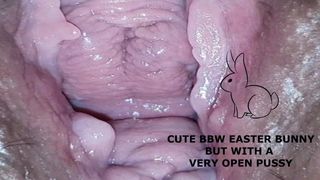 Cute bbw bunny, but with a very open pussy