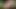 Cumshot compilation April #2 MyDirtyHobby