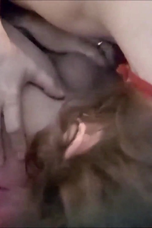 872 - Slut in Satin Thong and Bra, Heels, Doggy Style, Blowjob, Pussy Licking
