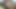 Uncut Big Cock Cumming Closeup Cumming Sperm Load
