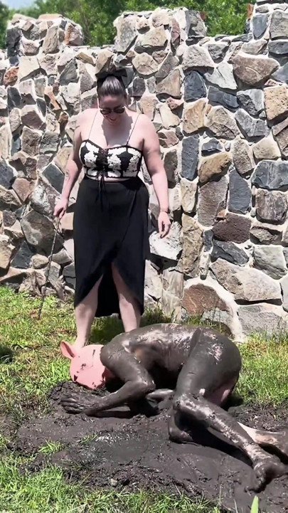 Humiliation avec un cochon coquin dans la boue