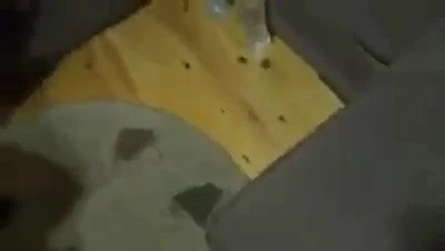 Pufók arab tánc