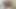 Irklararası üçlü ile çift vajinal Creampie