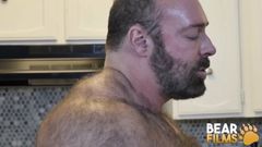 Bearfilms nosi brada kalvo i koszerną świnię surowej rasy hardcore