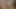 Inari Vachs Masturbates Vaginally And Anally