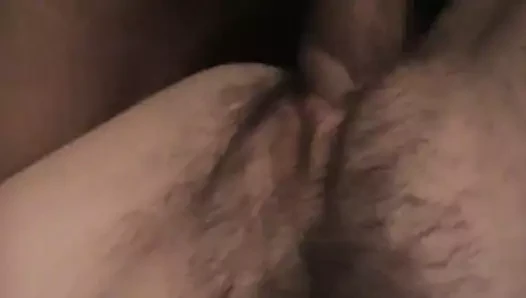 Ihre haarige Muschi ficken