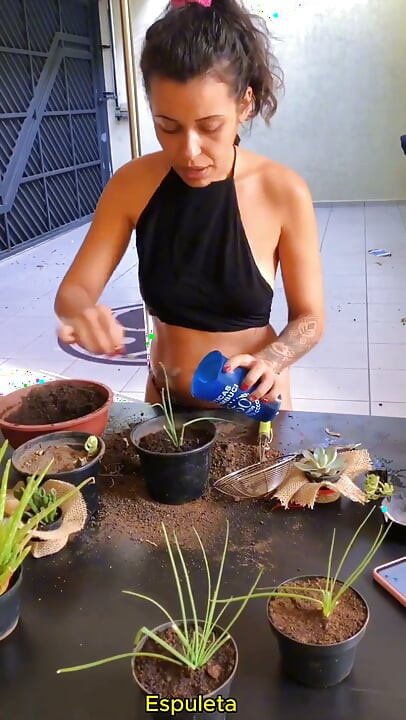 辣妹的日常生活 - 安排她的植物