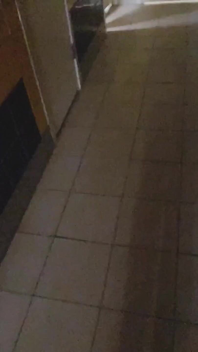 Supermarket’s Wc