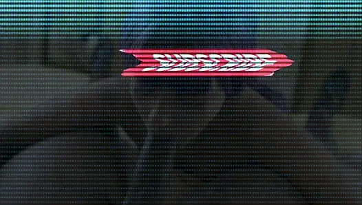 Bir şampiyonun olması gerektiği gibi bir boğaya bin