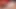 Closeup - Moaning - Solo Daddy Masturbating - Cum with me! 💦